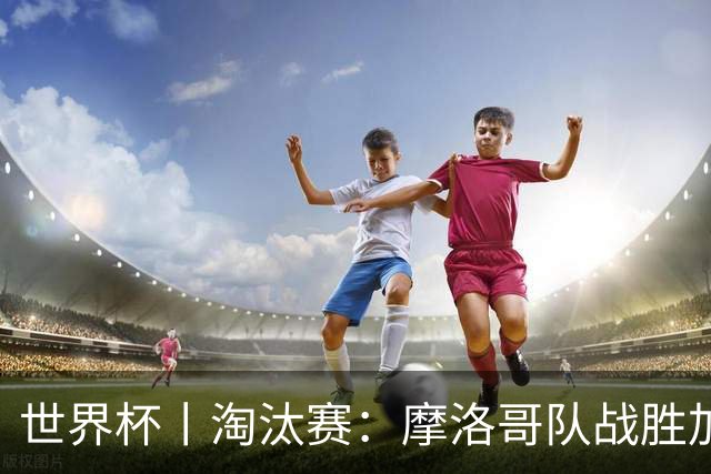 世界杯丨淘汰赛：摩洛哥队战胜加拿大队