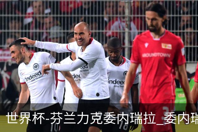 世界杯-芬兰力克委内瑞拉 委内瑞拉0胜5负告别